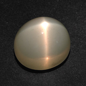 Pietra di luna stellata Color crema naturale da 14.28 ct, Taglio ovale, Traslucido