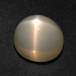 Pietra di luna stellata Color crema naturale da 14.28 ct, Taglio ovale, Traslucido