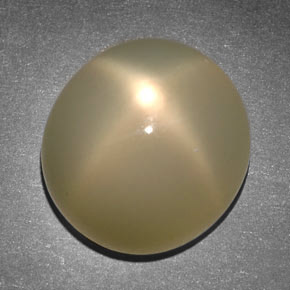 Pietra di luna stellata Color crema naturale da 14.65 ct, Taglio ovale, Traslucido