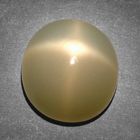 Pietra di luna stellata Color crema naturale da 14.65 ct, Taglio ovale, Traslucido