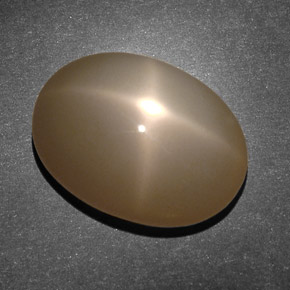 Pietra di luna stellata Arancione Crema naturale da 10.45 ct, Taglio ovale, Traslucido
