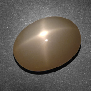 Pietra di luna stellata Arancione Crema naturale da 10.45 ct, Taglio ovale, Traslucido