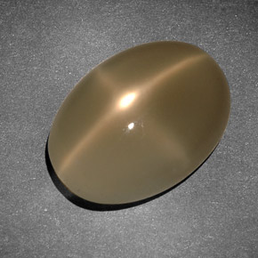Pietra di luna stellata Color crema naturale da 8.34 ct, Taglio ovale, Traslucido