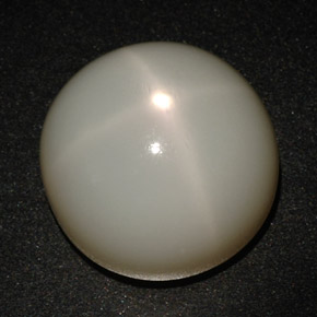 Pietra di luna stellata Color crema naturale da 21.40 ct, Taglio rotondo, Traslucido