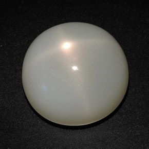 Pietra di luna stellata Color crema naturale da 14.37 ct, Taglio rotondo, Traslucido