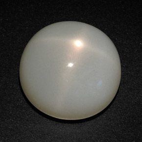 Pietra di luna stellata Color crema naturale da 14.37 ct, Taglio rotondo, Traslucido