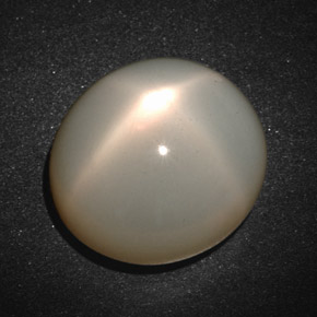 Pietra di luna stellata naturale crema da 19,33 ct, taglio ovale, traslucido