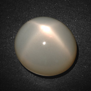 Pietra di luna stellata naturale crema da 19,33 ct, taglio ovale, traslucido