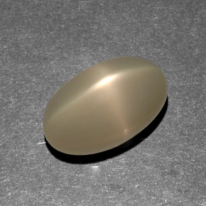 Pietra di luna stellata naturale crema da 9,13 ct, trasparente, trasparente/traslucido
