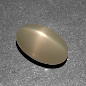Pietra di luna stellata naturale crema da 9,13 ct, trasparente, trasparente/traslucido