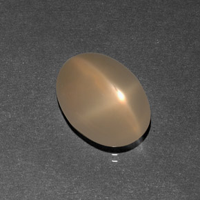 Pietra di luna stellata naturale crema da 7,09 ct, trasparente, trasparente/traslucido