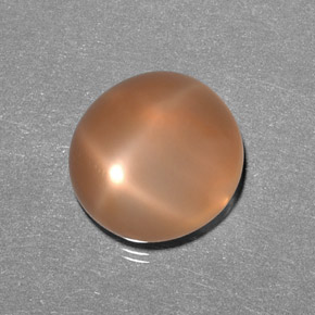 Pietra di luna stellata naturale arancione da 9,31 ct, trasparente, trasparente/traslucido