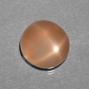 Pietra di luna stellata naturale arancione da 9,31 ct, trasparente, trasparente/traslucido