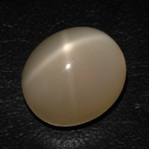 Pietra di luna stellata naturale crema da 16,54 ct, trasparente, trasparente/traslucido