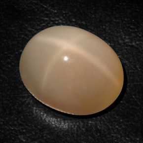 Pietra di luna stellata naturale arancione da 17,94 ct, trasparente, trasparente/traslucido