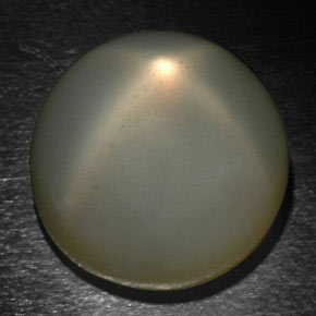 Pietra di luna stellata naturale grigio da 24,37 ct, taglio rotondo, traslucido