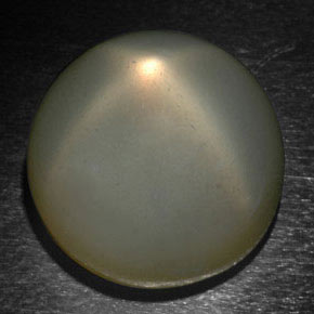Pietra di luna stellata naturale grigio da 24,37 ct, taglio rotondo, traslucido