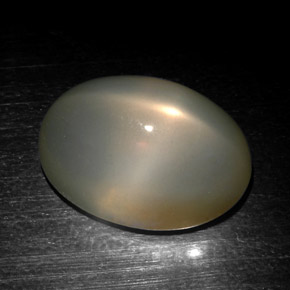Pietra di luna stellata naturale grigio da 18,57 ct, taglio ovale, traslucido