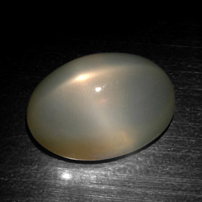 Pietra di luna stellata naturale grigio da 18,57 ct, taglio ovale, traslucido