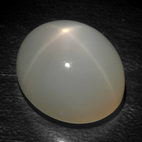 Pietra di luna stellata naturale grigio da 15,93 ct, taglio ovale, traslucido