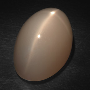 Pietra di luna stellata Color crema naturale da 20.45 ct, Taglio ovale, Traslucido