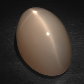 Pietra di luna stellata Color crema naturale da 20.45 ct, Taglio ovale, Traslucido