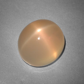 Pietra di luna stellata naturale arancione da 7,48 ct, trasparente, trasparente/traslucido