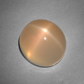 Pietra di luna stellata naturale arancione da 7,48 ct, trasparente, trasparente/traslucido