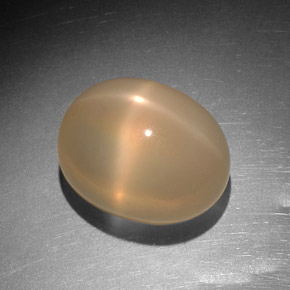 Pietra di luna stellata naturale arancione da 9,14 ct, trasparente, trasparente/traslucido