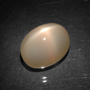 Pietra di luna stellata naturale arancione da 9,06 ct, trasparente, trasparente/traslucido