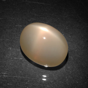 Pietra di luna stellata naturale arancione da 9,06 ct, trasparente, trasparente/traslucido