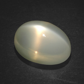 Pietra di luna stellata naturale arancione da 7,49 ct, trasparente, trasparente/traslucido