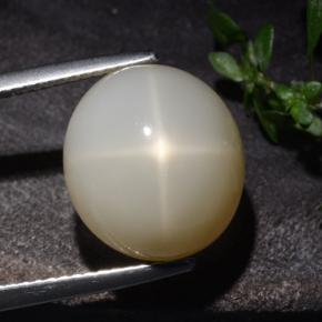 Pietra di luna stellata naturale crema da 10,60 ct, taglio ovale, traslucido