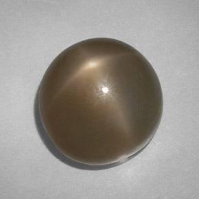 Pietra di luna stellata naturale fumé da 14,61 ct, taglio rotondo, traslucido
