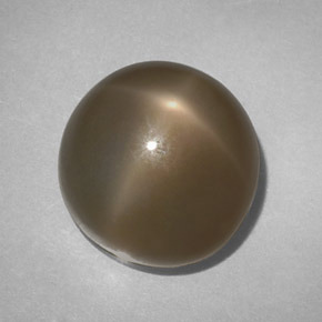 Pietra di luna stellata naturale fumé da 14,61 ct, taglio rotondo, traslucido