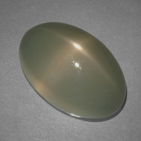Pietra di luna stellata color fumo naturale da 17.69 ct, Taglio ovale, Traslucido