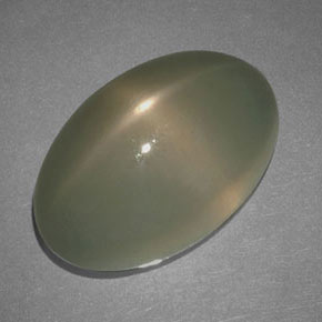 Pietra di luna stellata color fumo naturale da 17.69 ct, Taglio ovale, Traslucido