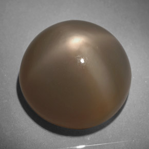 Pietra di luna stellata naturale grigio da 18,64 ct, taglio rotondo, traslucido