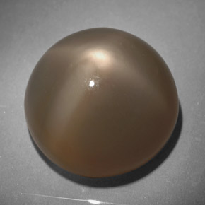 Pietra di luna stellata naturale grigio da 18,64 ct, taglio rotondo, traslucido