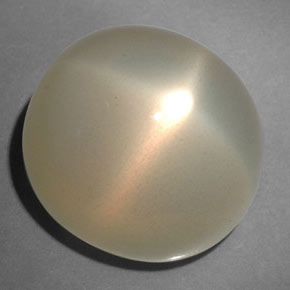 Pietra di luna stellata naturale crema da 21,67 ct, trasparente, trasparente/traslucido