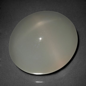 Pietra di luna stellata naturale crema da 20,62 ct, trasparente, trasparente/traslucido