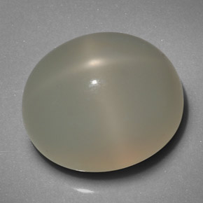 Pietra di luna stellata naturale crema da 19,29 ct, trasparente, trasparente/traslucido