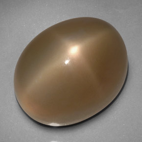 Pietra di luna stellata naturale grigio da 33,24 ct, trasparente, trasparente/traslucido