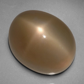 Pietra di luna stellata naturale grigio da 33,24 ct, trasparente, trasparente/traslucido