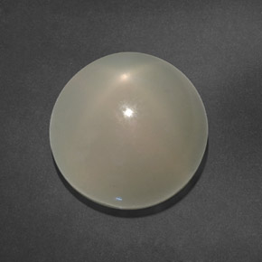 Pietra di luna stellata naturale bianco da 15,64 ct, trasparente, trasparente/traslucido