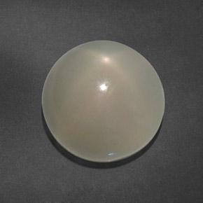 Pietra di luna stellata naturale bianco da 15,64 ct, trasparente, trasparente/traslucido