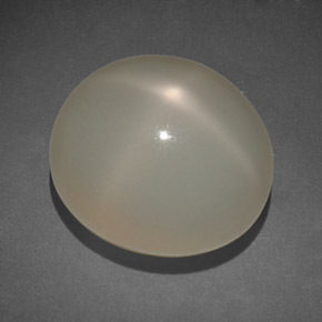 Pietra di luna stellata naturale crema da 14,00 ct, trasparente, trasparente/traslucido