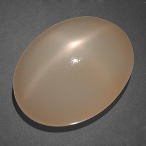 Pietra di luna stellata naturale arancione da 19,69 ct, trasparente, trasparente/traslucido