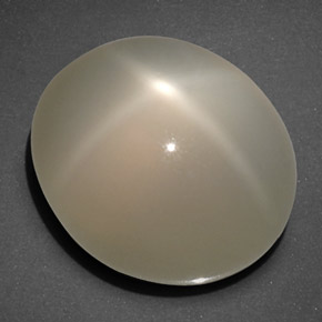 Pietra di luna stellata naturale crema da 20,40 ct, trasparente, trasparente/traslucido
