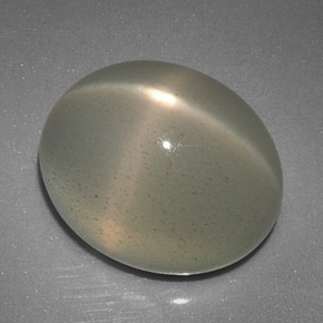 Pietra di luna stellata naturale crema da 12,51 ct, trasparente, trasparente/traslucido